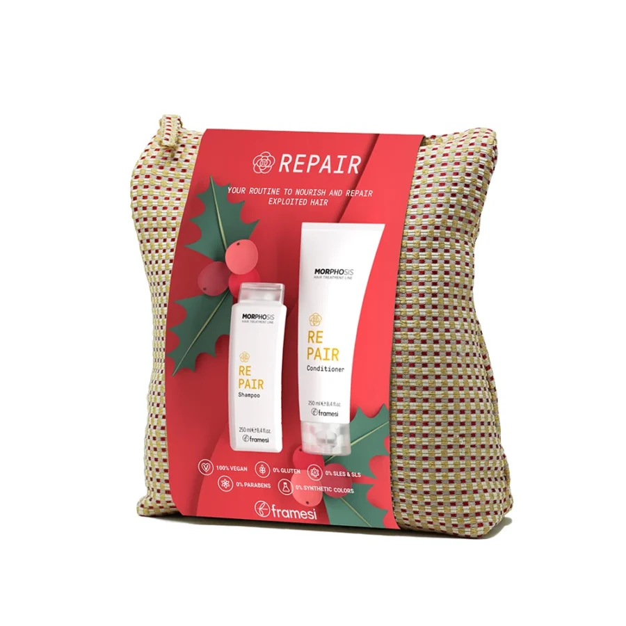 Borseta Repair - Framesi - 250ml
